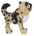 Bec's Smelly Cat Smelly Cat at Fleur de Lis — “Phoebe”