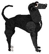 Frogbowl Phantom Lake Romance — “Jim”