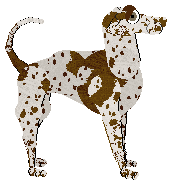 Frogbowl Classic By Design — “Slip”