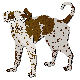 Profile image of Frogbowl Classic By Design