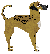 Frogbowl Classic Kindness — “Verna”