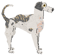 Frogbowl Dream In Colour — “Thewbelle”