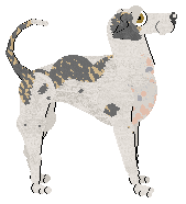 Frogbowl Dream In Colour — “Thewbelle”