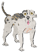 Profile image of Frogbowl Dream In Colour