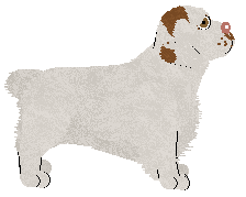 Frogbowl Your Foot Or Mine — “Rabbit”