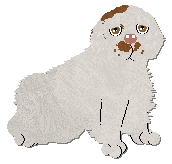 Profile image of Frogbowl Your Foot Or Mine