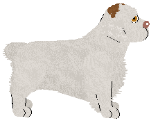 Frogbowl How Many Leafs — “Clover”