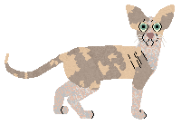 Velour's Grand Vizier — “Zigzag”