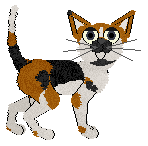 Wild Road's Catching Fire at Calluna — “Phoenix”