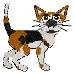 Profile image of Wild Road's Catching Fire at Calluna