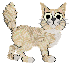 Witz' Grabbed Around Dawn at Medusa — “Twilight”