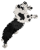 King's Questionable Alignment at Obzocky — “Banjax”