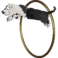 King's Questionable Alignment at Obzocky — “Banjax”