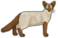 Profile image of Blizzard Caffeine Addict