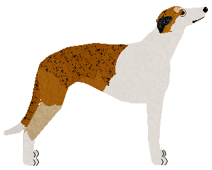 Polka Indiański Wzorek — “Indi”