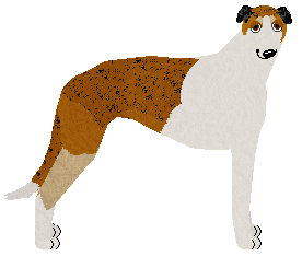 Profile image of Polka Indiański Wzorek