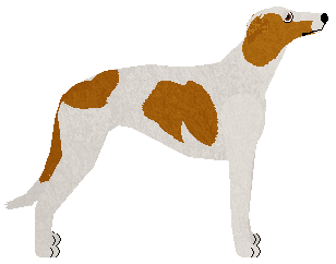 Polka PIERWSZY RAZ — “Raz”