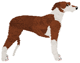 Converse MIGHTY LITTLE MAN — “Sheldon”