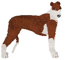 Profile image of Converse MIGHTY LITTLE MAN