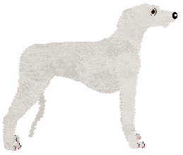 Converse POCKETFUL OF SUNSHINE — “Sunshine”