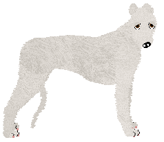 Profile image of Converse POCKETFUL OF SUNSHINE