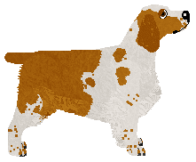 Cansas' Six Feet Under — “Sam”