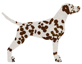 Cansas' The World In My Hands — “Mottle”