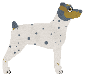 Cansas' Mas Que Nada — “Mavie”