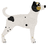 Cansas' Olha A Explosão — “Pico”