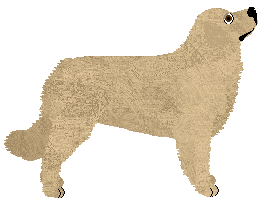 Cansas' When The Party Is Over — “Polenta”