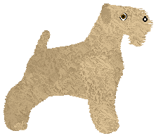 Cansas' Summer Fields — “Tanuki”