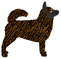 Myriad Boy with Luv — “Arkin”