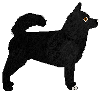 Myriad Majesty Rules The Universe — “Amari”