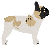 Imagination Bilbo Baggins — “Bilbo”