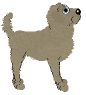 Profile image of Aura's Columbidae