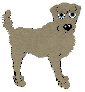 Aura's Columbidae — “Pigeon”