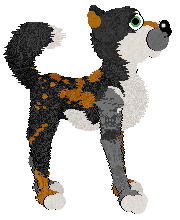 Bambi Vision's Fresh Peaches at Chachke — “Georgia”