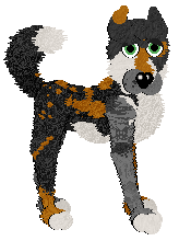 Profile image of Bambi Vision's Fresh Peaches at Chachke