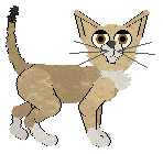 Profile image of Retro's Veil of Shadows @ Mockingbird