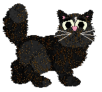 Witz's A Happy Mistake — “Philosophy”