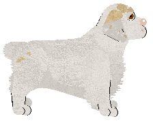 Frogbowl Dotty Delight — “Ladybug”