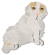 Profile image of Frogbowl Dotty Delight