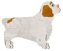 Frogbowl Ready To Roll — “Dice”