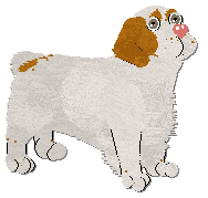 Profile image of Frogbowl Ready To Roll