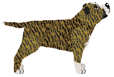 Kamvis Stormy Weather — “Stormy”