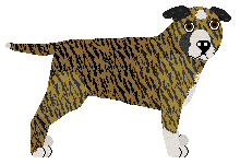 Profile image of Kamvis Stormy Weather