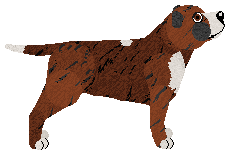 Mayflower MUHAMMAD ALI — “Tigran”