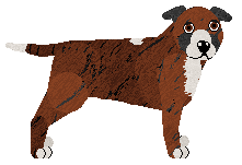 Profile image of Mayflower MUHAMMAD ALI