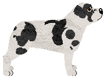 My Lullaby LOONEY TUNES — “Loo”