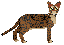 Airship Sunny Bordeaux — “Soren”